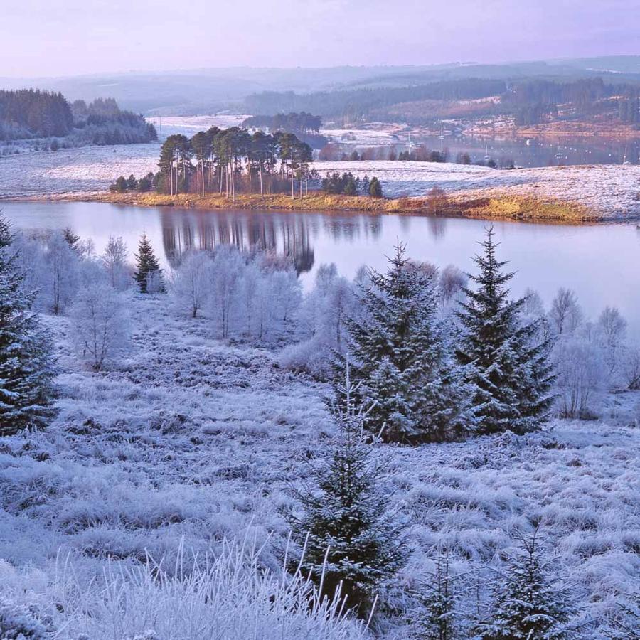 Grasmere Lodge - Bockenfield Country Park - Northumberland Felton  ภายนอก รูปภาพ